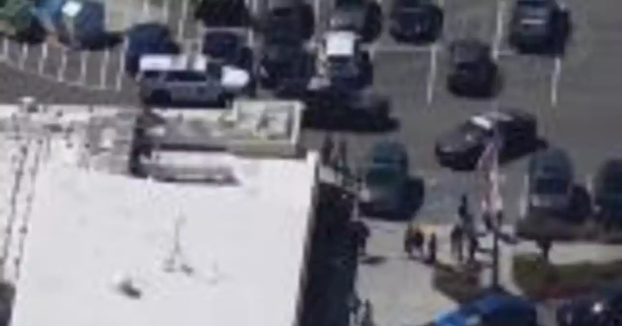 Raw Video: Scene of school fight in San Leandro