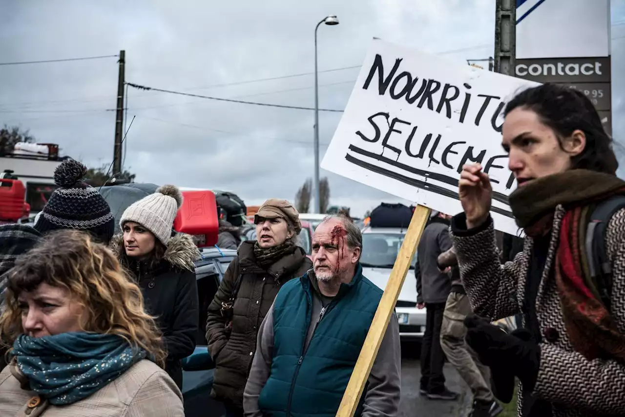 Climat : les séries doivent-elles en finir avec les scénarios catastrophes ?