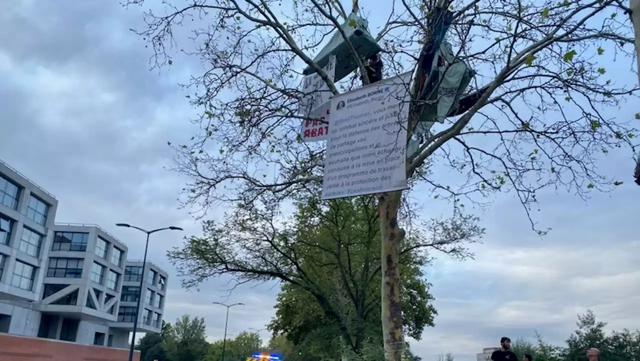 Les pompiers déployés devant le conseil régional pour porter secours au militant Thomas Brail perché dans un arbre