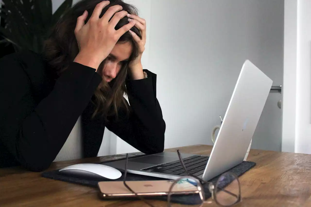 Your body's own cannabinoid molecules may calm you during stress