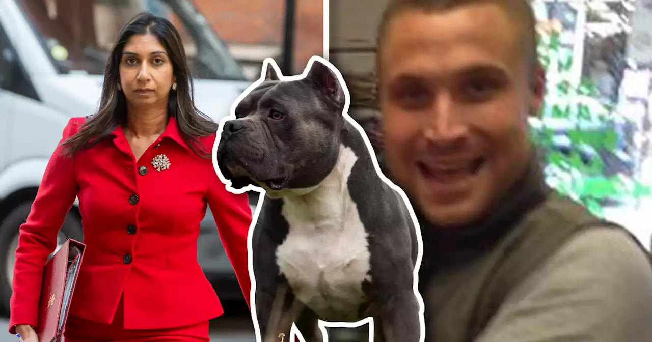 The XL bully attacks to hit Greater Manchester as breed could be banned