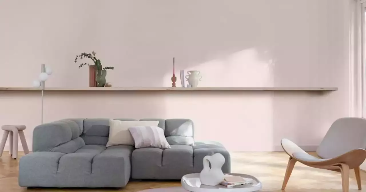 The Dulux Colour Of The Year For 2024 Has Been Revealed   The Dulux Colour Of The Year For 2024 Has Been Rev The Dulux Colour Of The Year For 2024 Has Been Rev 2BC492543124D7296693F3E04769F629.webp