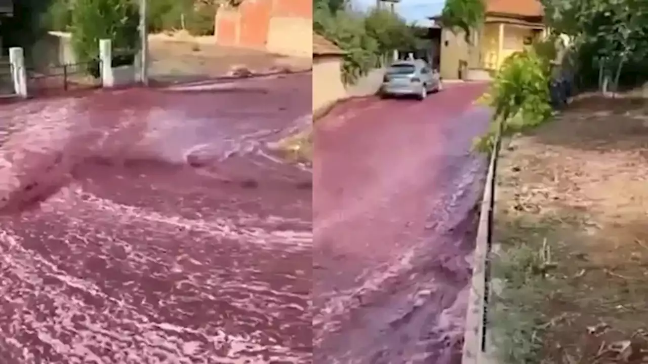 Río de vino tinto 'inunda' pueblo en Portugal