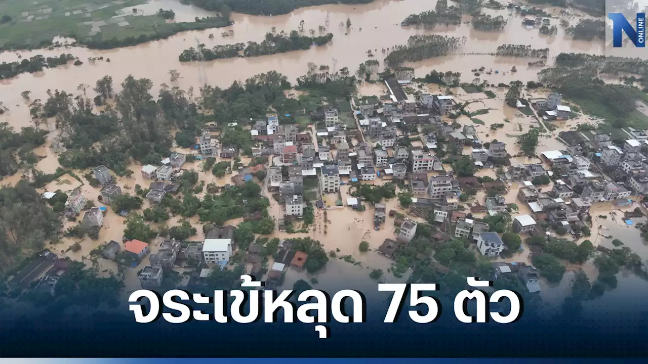 น้ำท่วมภาคใต้จีนทำให้จระเข้หลุด 75 ตัว