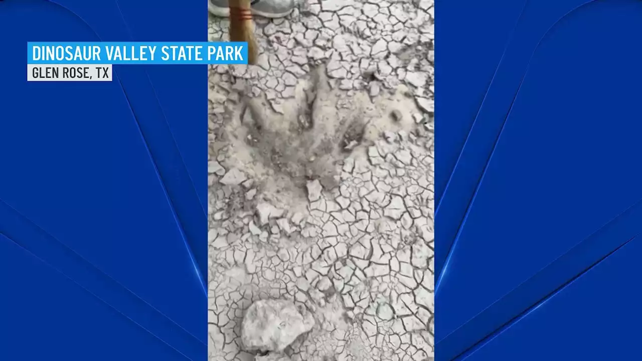 Dozens of new dinosaur tracks found at Dinosaur Valley State Park in Glen Rose