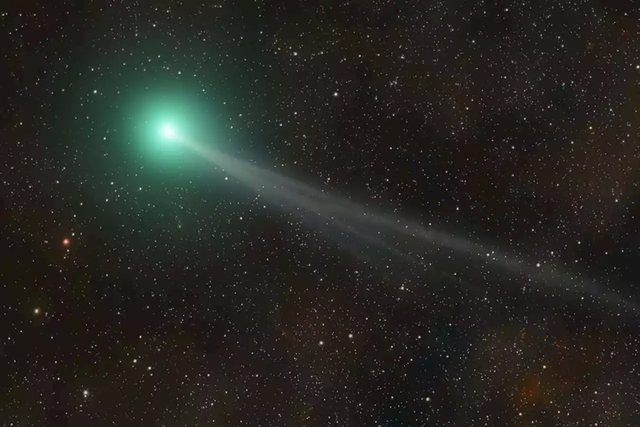 How to spot green comet Nishimura in the skies this week