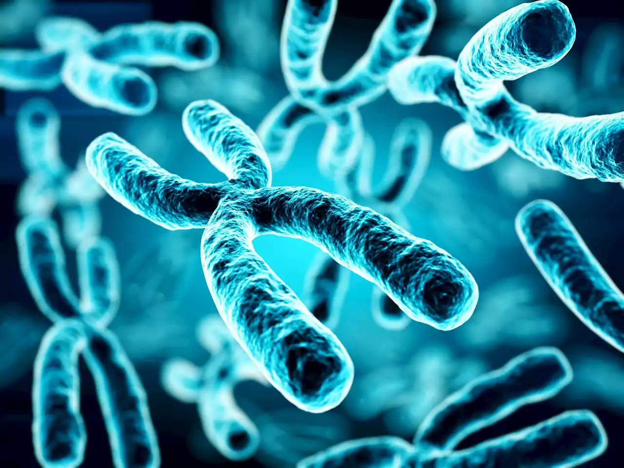 What is Incontinentia Pigmenti?