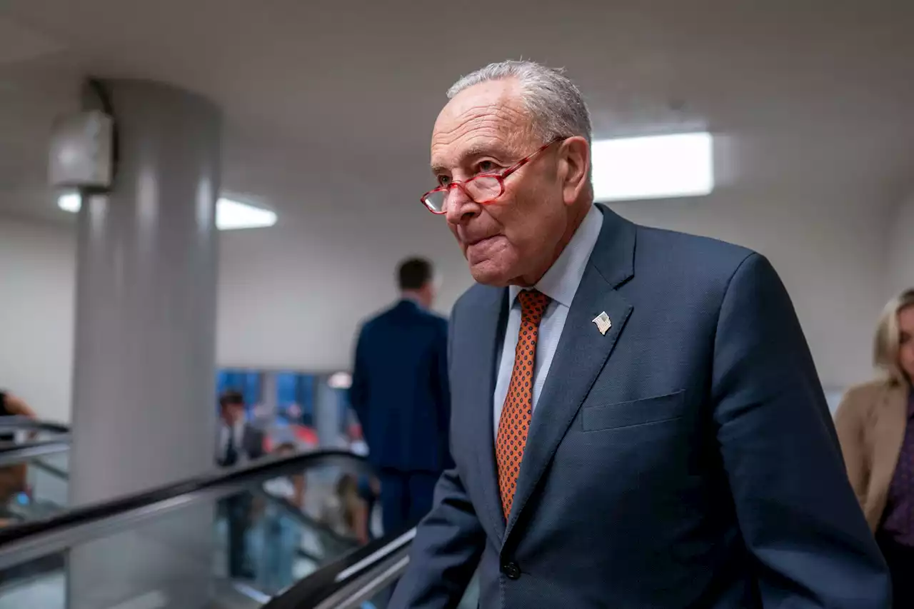 Schumer’s response to NYC’s migrant nightmare is beyond lame