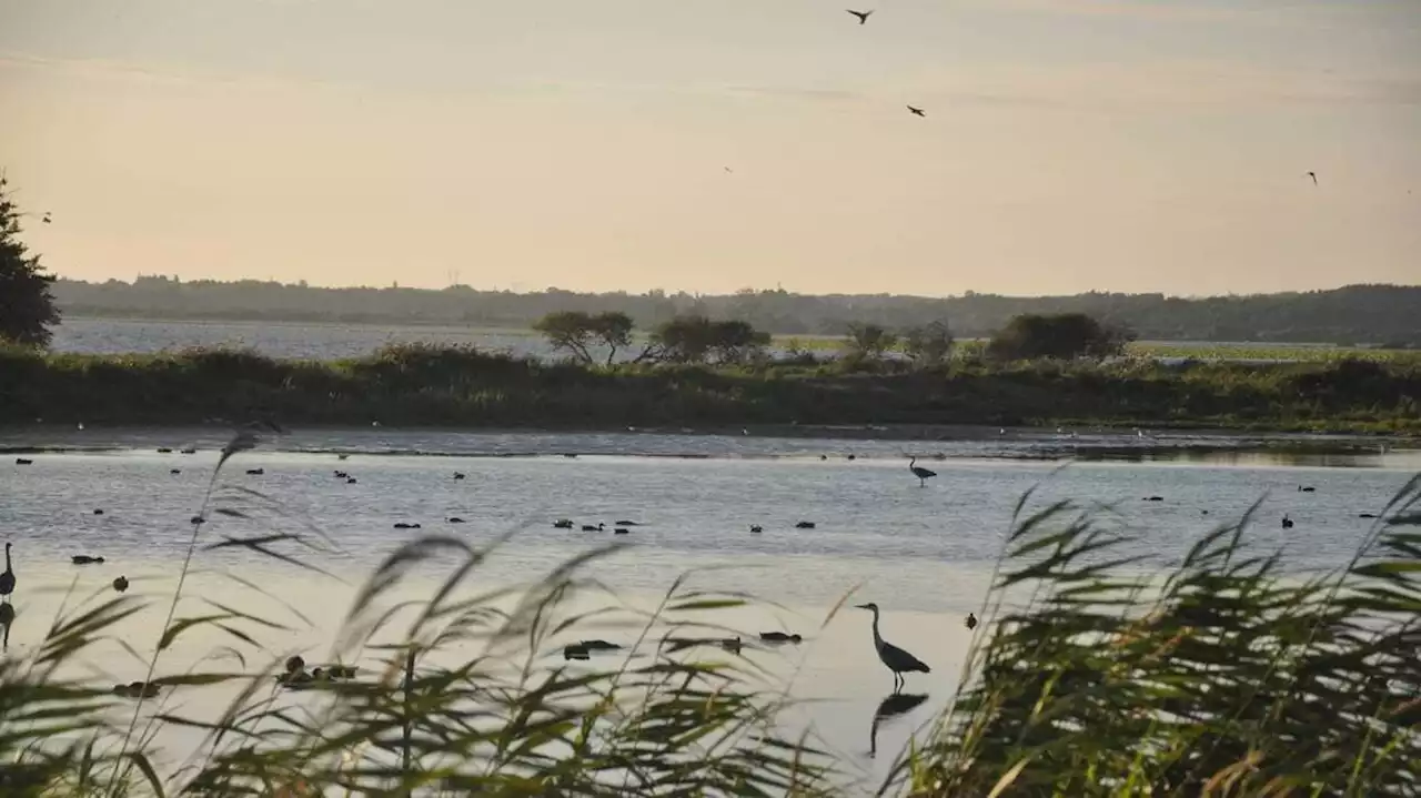 10,6 millions de nuitées en Loire-Atlantique cet été