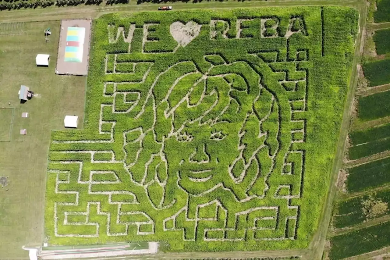 Reba McEntire corn mazes are popping up across Pa., N.J., and the U.S.