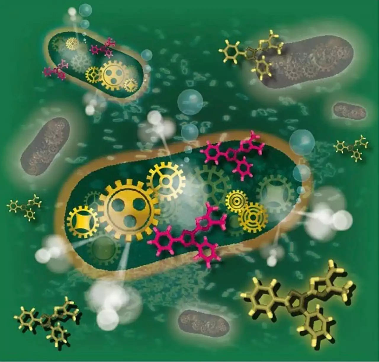 New technology speeds up bacterial testing in food