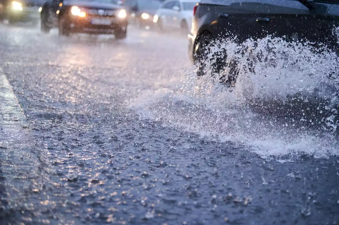 Schwere Gewitter: Bäume umgefallen, Wasser in Kellern