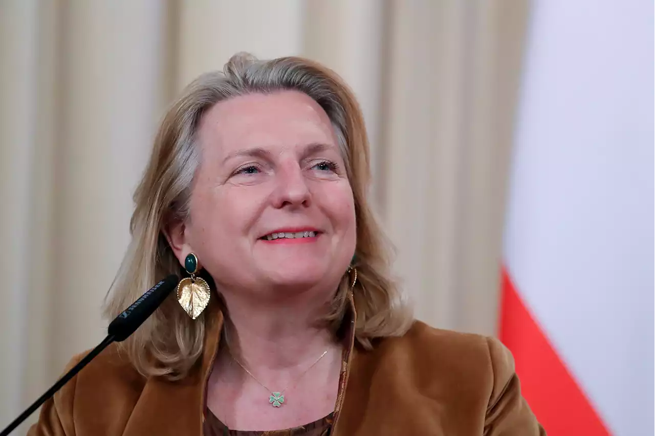 Austria's former foreign minister to move to St. Petersburg