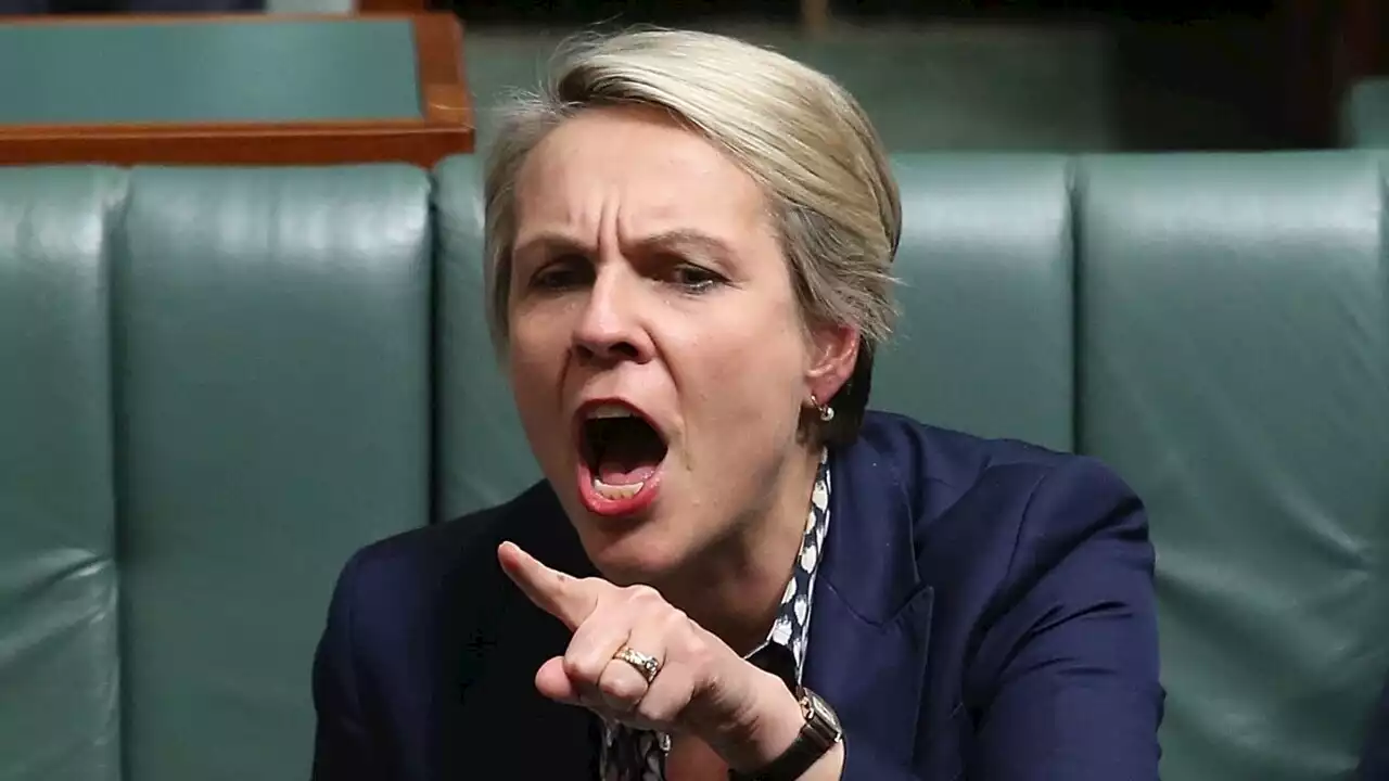 ‘Dangerous radical’: Tanya Plibersek takes aim at former PM John Howard