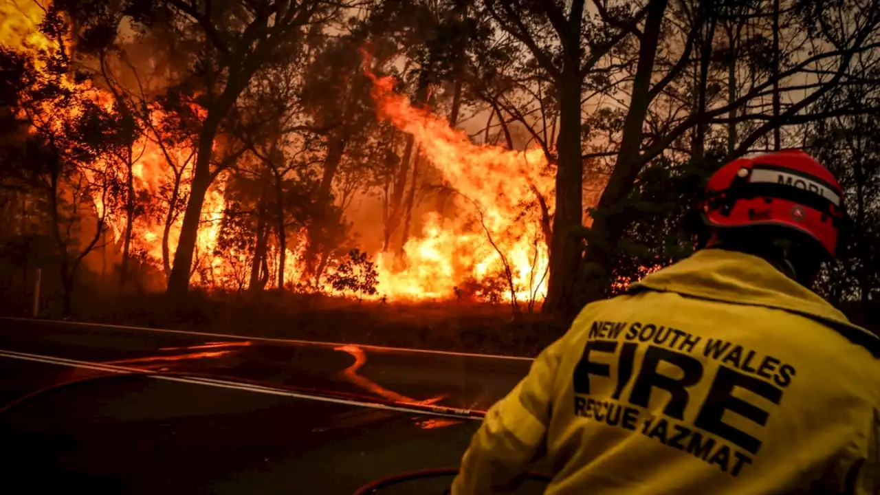 ‘Deadly and destructive’: Sky News explains the threat of Australia’s ‘unstoppable’ bushfire season