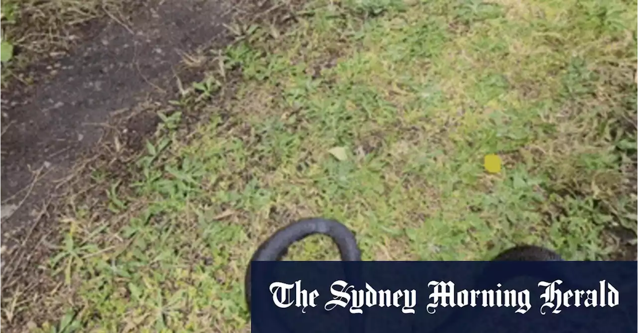 Snakes are on the move early this spring. This is what you need to know