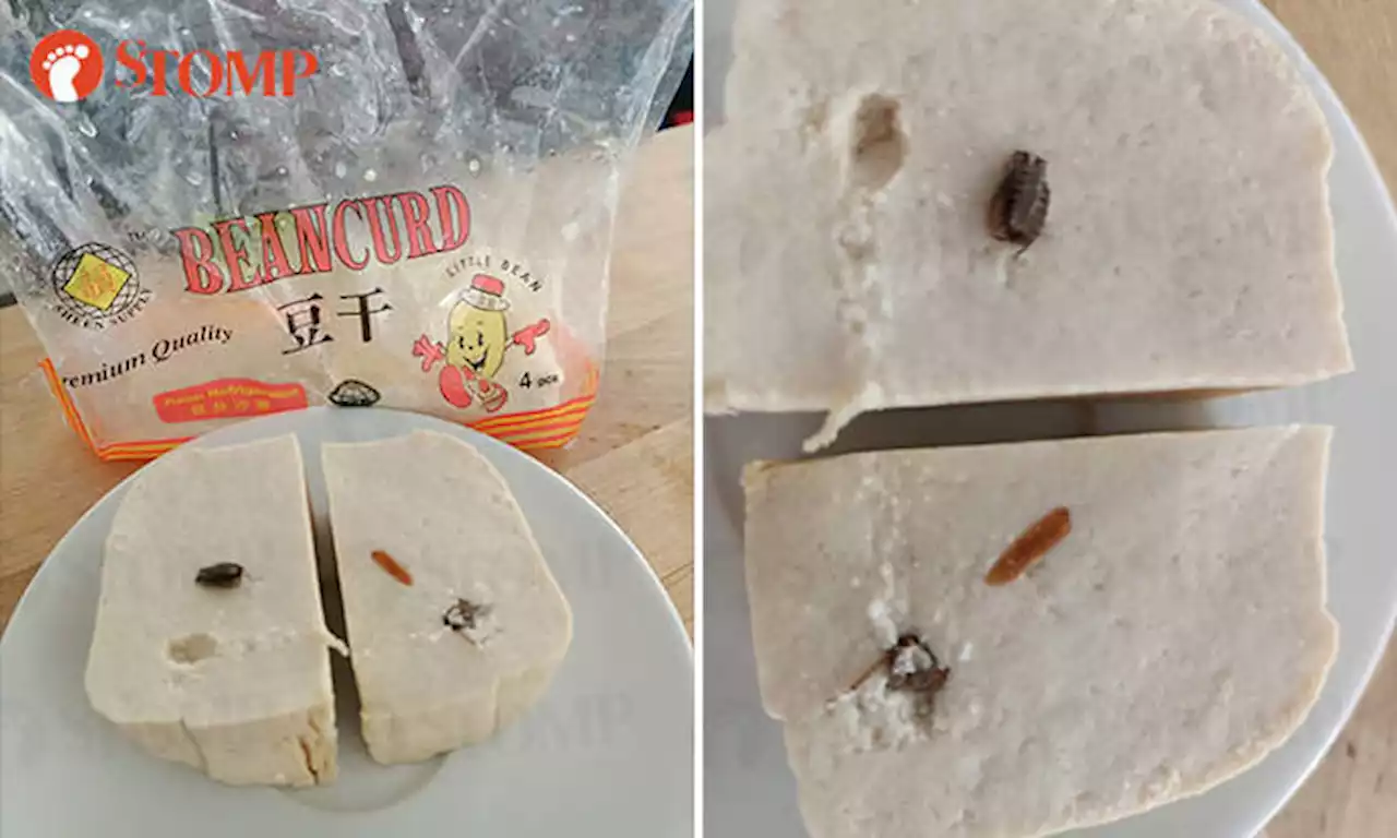 Man finds cockroach in beancurd after slicing into it: FairPrice looking into matter