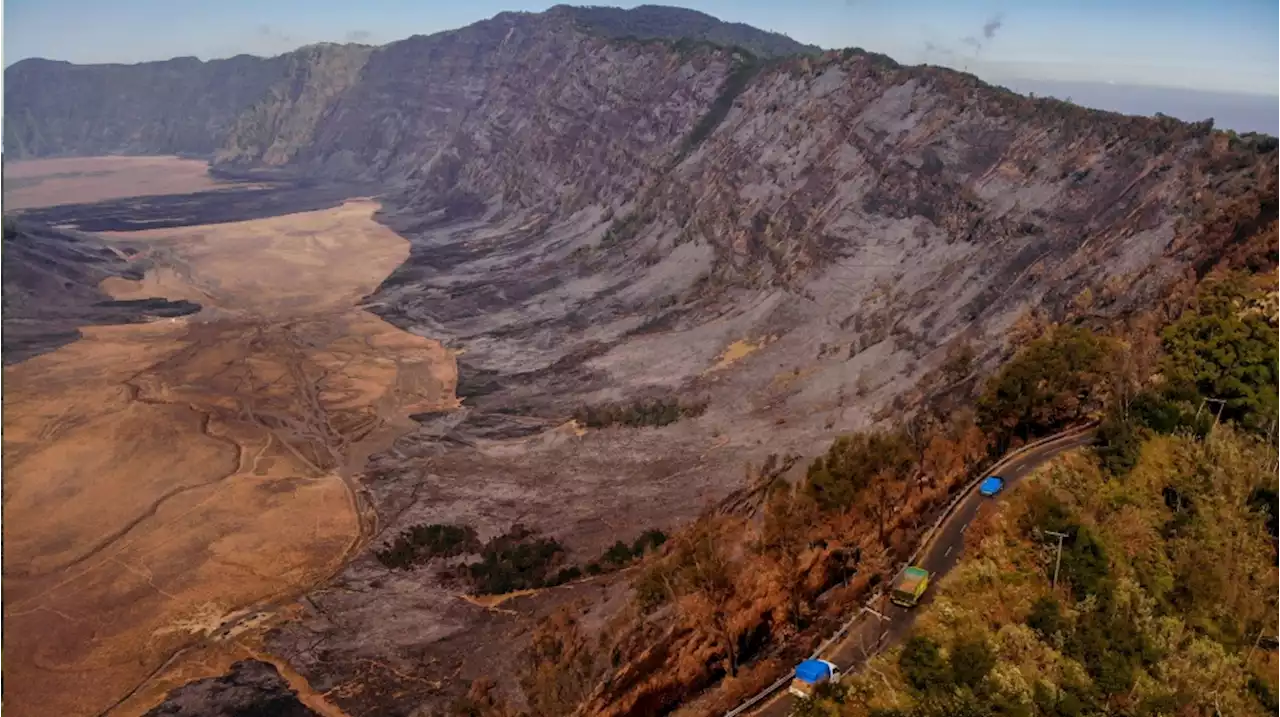 Viral Pemandangan Savana Bromo Sebelum vs Sesudah Terbakar: Jadi Hitam Legam!