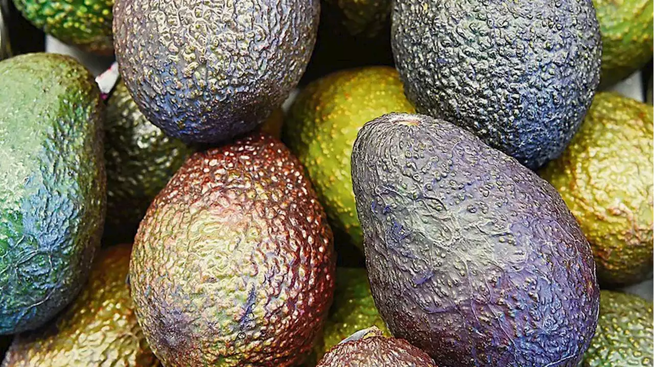 Avocado im Zuckermantel: Plastikfreie Beschichtung konserviert Obst und Gemüse