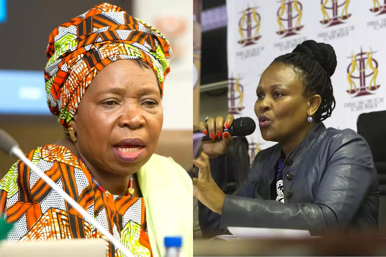 ANC goes after Dlamini-Zuma over absence at Mkhwebane vote