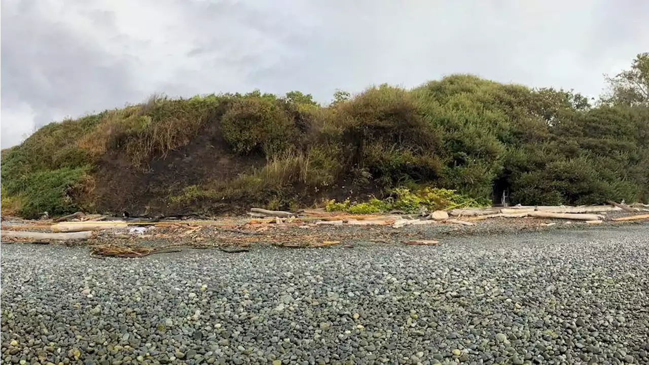 Fire at Dallas Road beach definitely human-caused, says fire chief