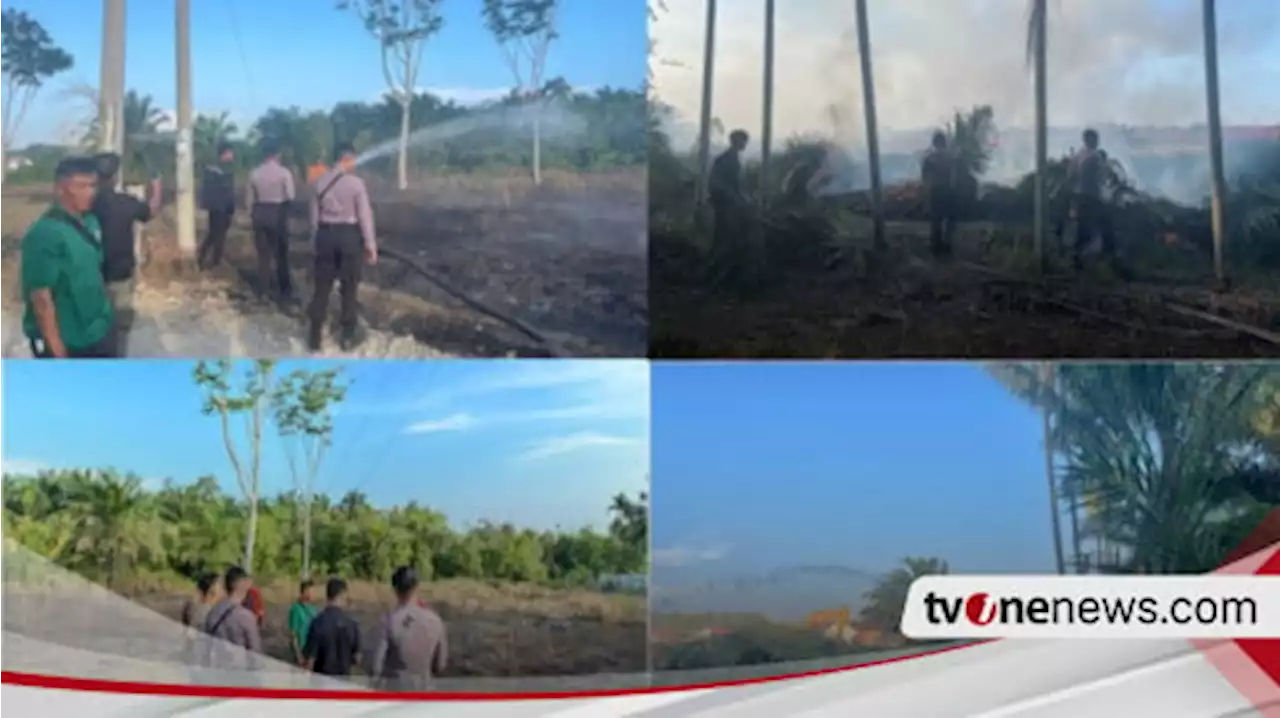 Kebakaran Lahan dan Hutan Melanda Bengkulu, BPBD dan Instansi Terkait Bergerak Cepat