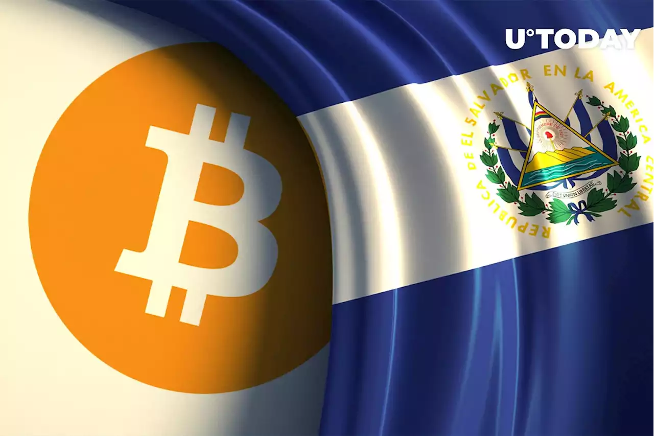 $329M Bitcoin Fail: Human Rights Group Lambasts El Salvador's Bet