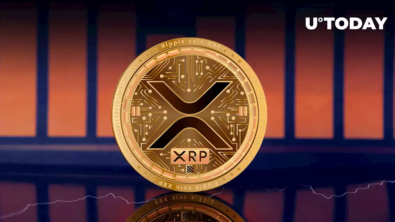 XRP Price Crash Unveils Top Analyst's Eye-Opening Discovery