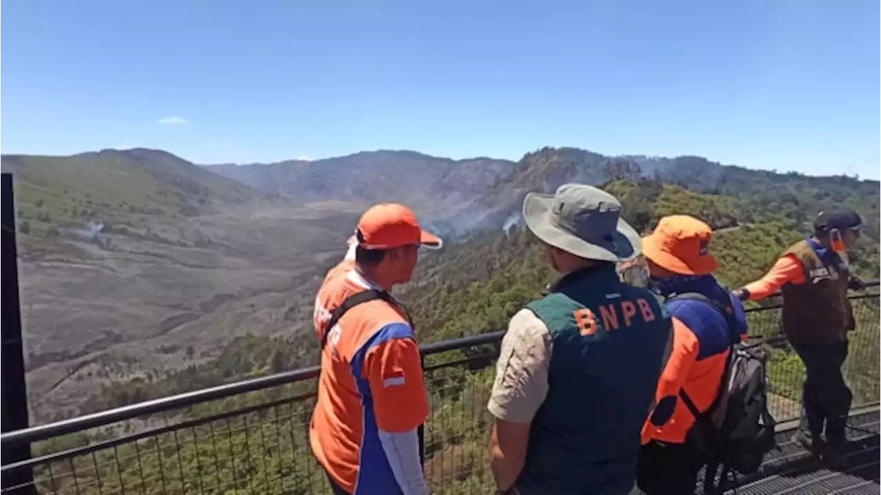 Kebakaran Dipicu Flare Preweeding Terparah dalam Sejarah Taman Nasional Gunung Bromo