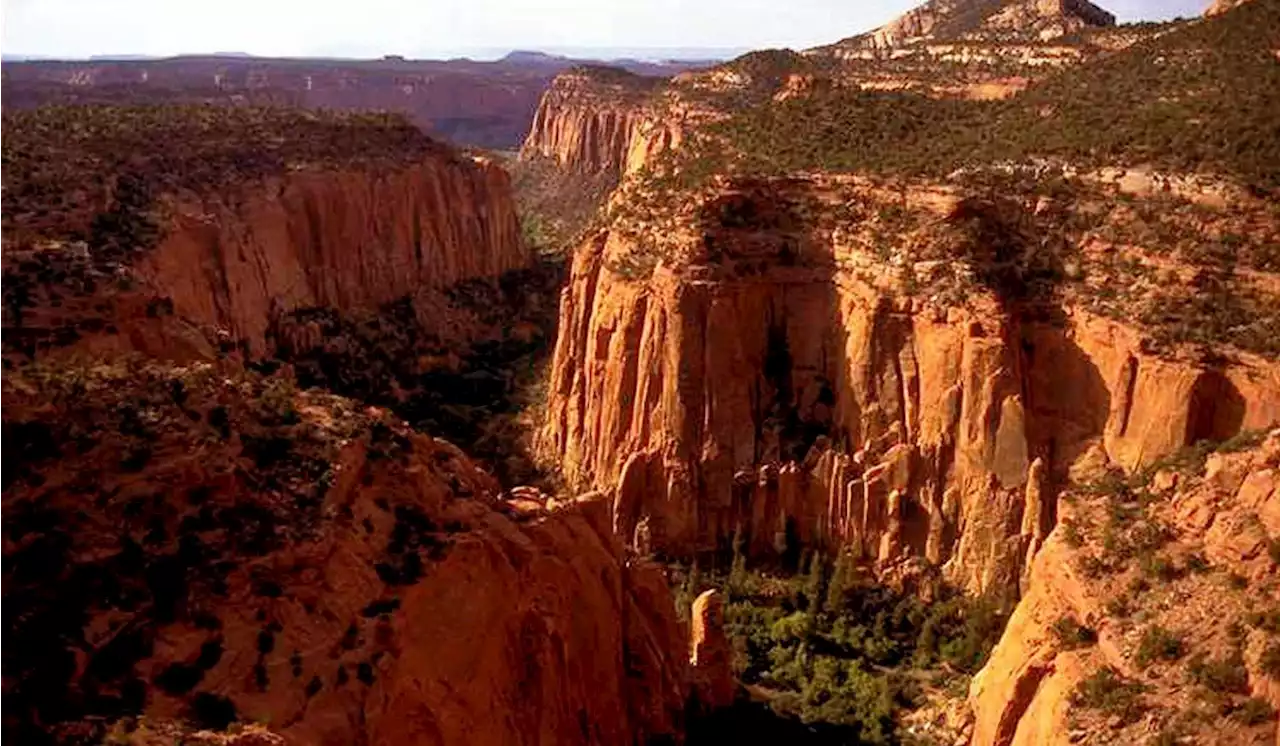 Virginia man dies trying to hike between North and South Rims of Grand Canyon in afternoon