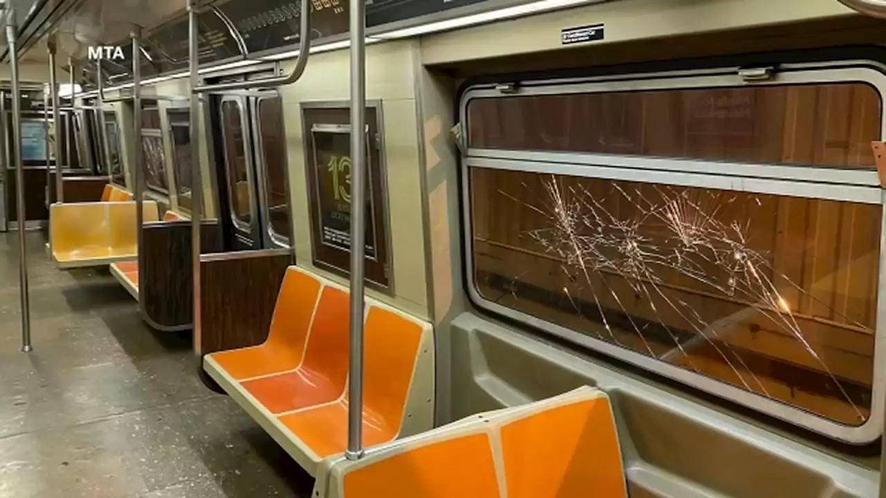 W train service suspended after vandals smash 78 windows on 35 trains