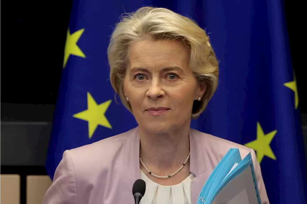 Von der Leyen, 'mantenere l'ambizione sul Green Deal' - Ultima ora