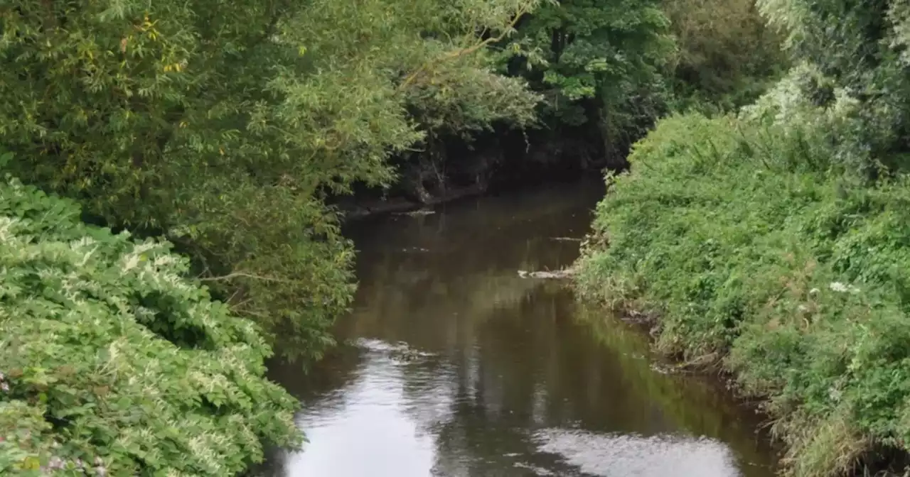 Sewage spill into County Down river caused by pipe blockage says water authority