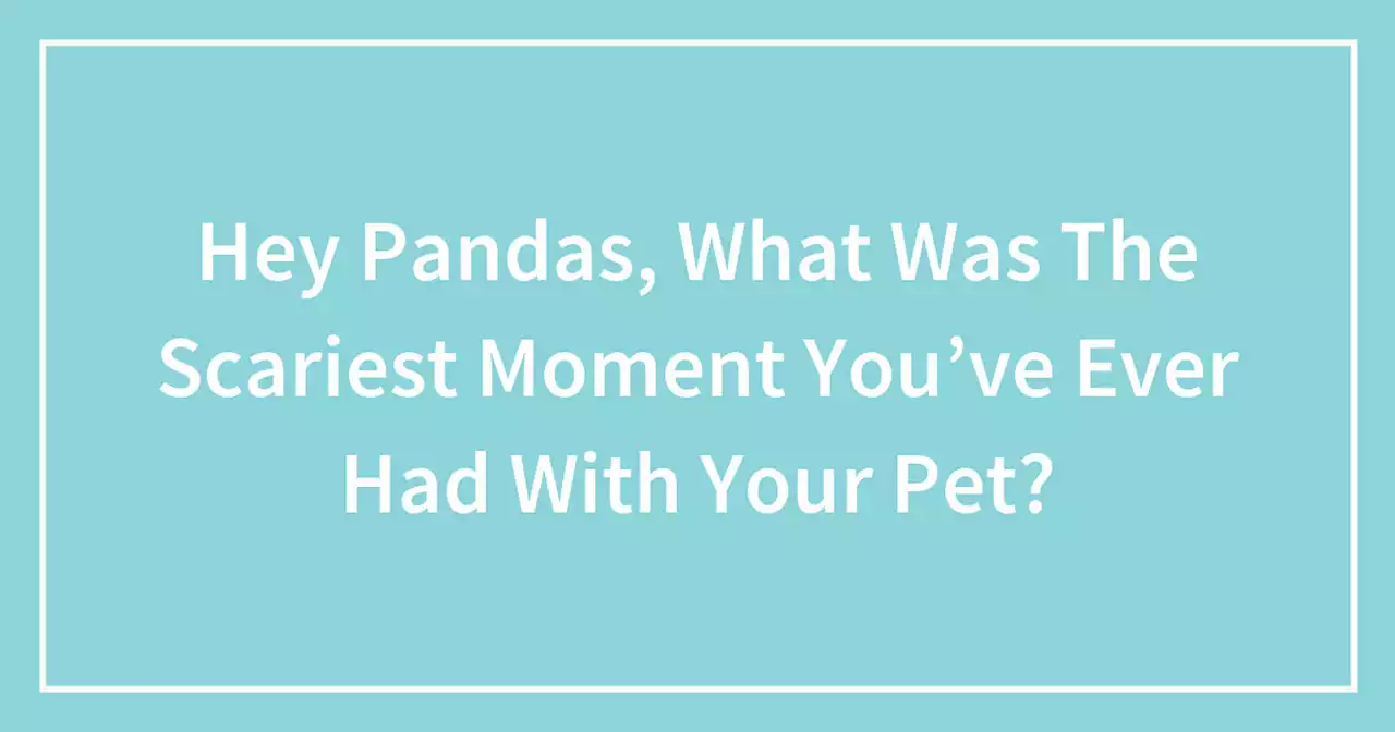 Hey Pandas, What Was The Scariest Moment You’ve Ever Had With Your Pet?