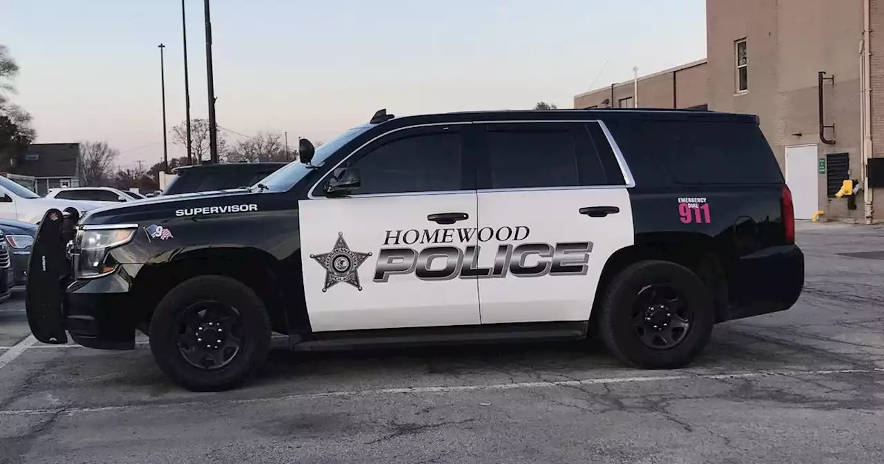 Driver in custody after fatal Homewood crash released