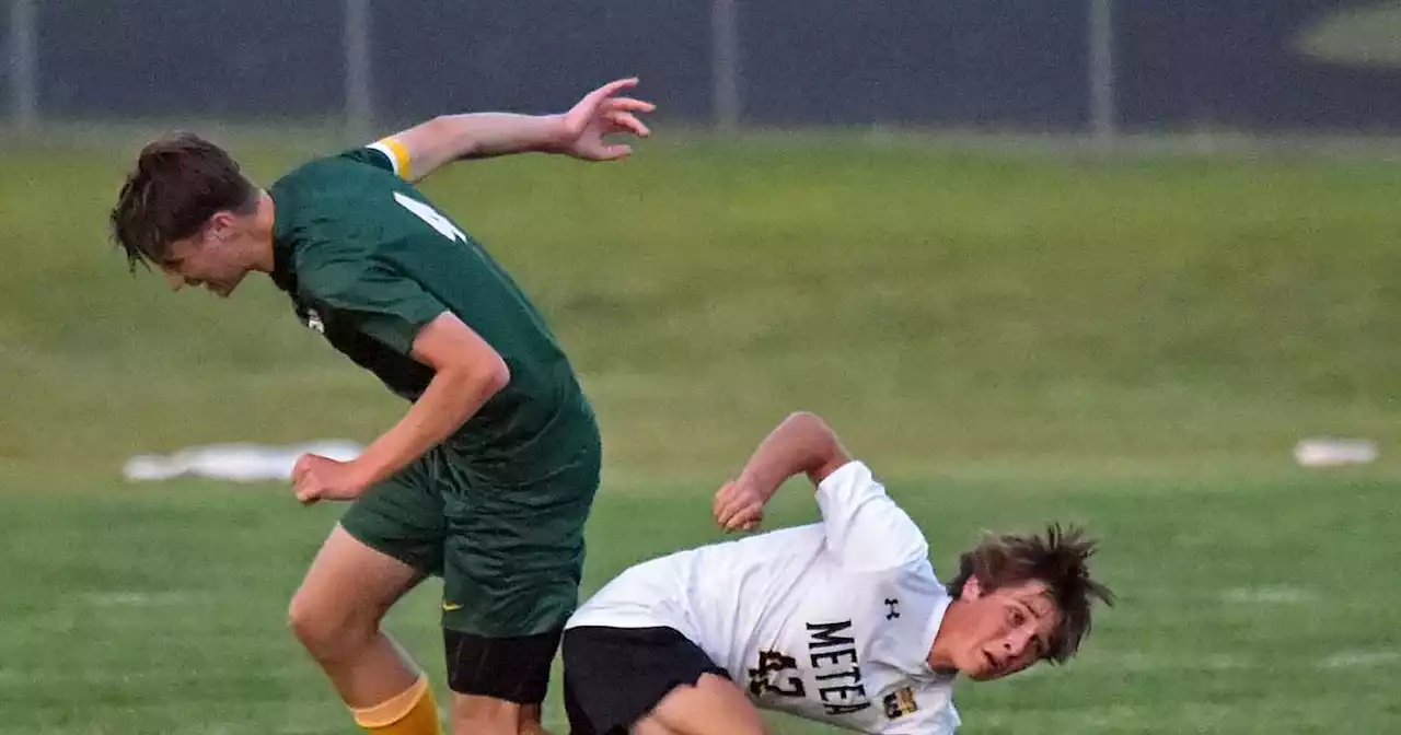 Soccer: Michael Senese, Metea Valley edge Waubonsie Valley