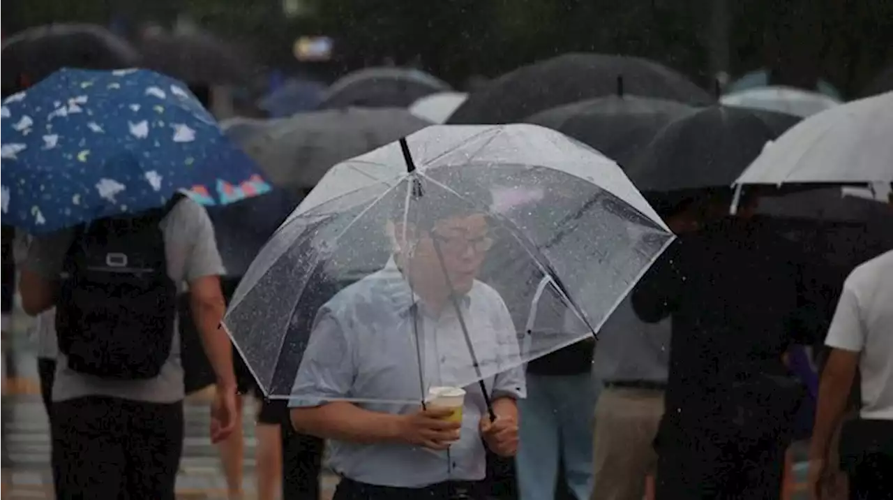 Utara Khatulistiwa Hujan dan Selatan RI Kering, Simak Penjelasan Pakar