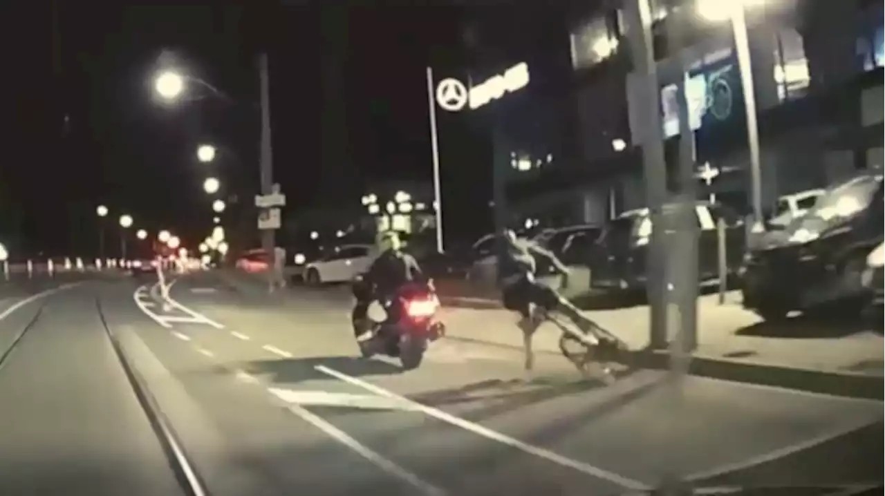 Motorcyclist intentionally hits cyclist in downtown Toronto bike lane road rage, victim says