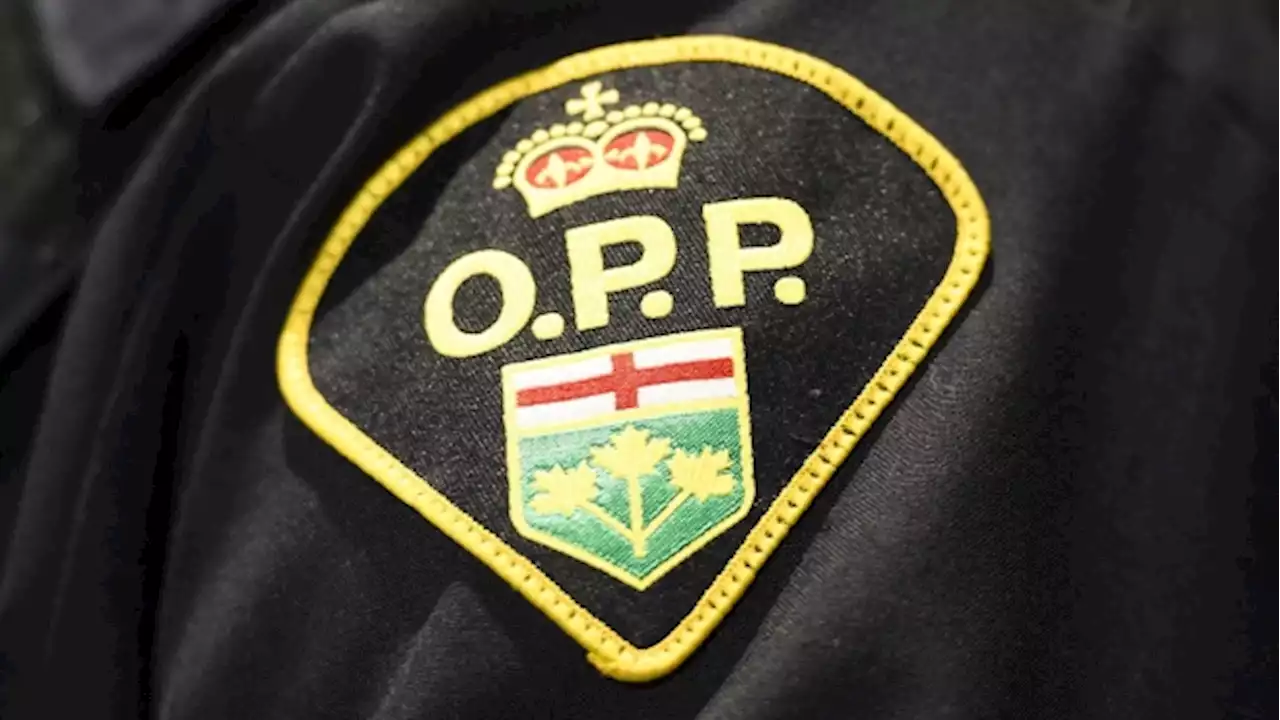 OPP investigating 'disturbing' video of officer hitting deer with axe