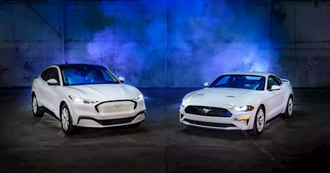 Ford vender� en octubre el Mustang Mach-E, su primer auto 100% el�ctrico en la Argentina