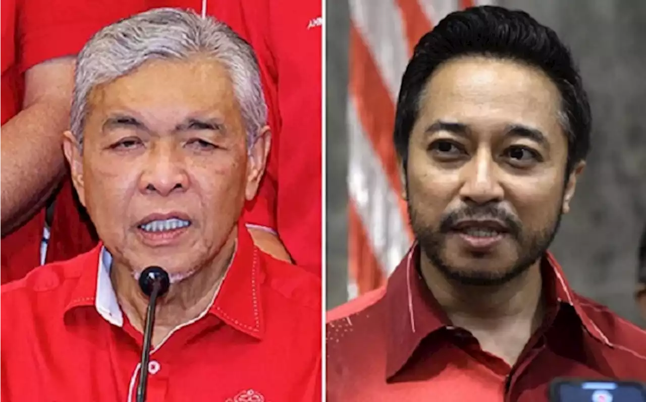 No need for Umno referendum on working with DAP, says Zahid