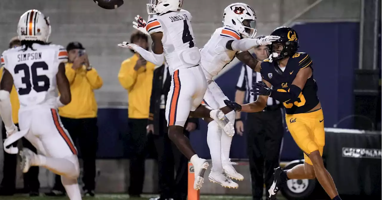 Turnover chain to seatbelt chain: Tiger defenders don seatbelt around neck for gained turnovers