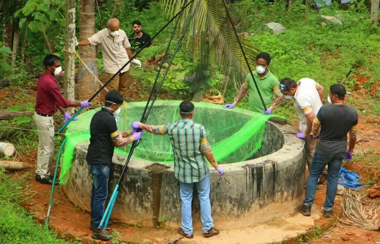 Kerala closes schools, banks in 7 villages amid Nipah deaths