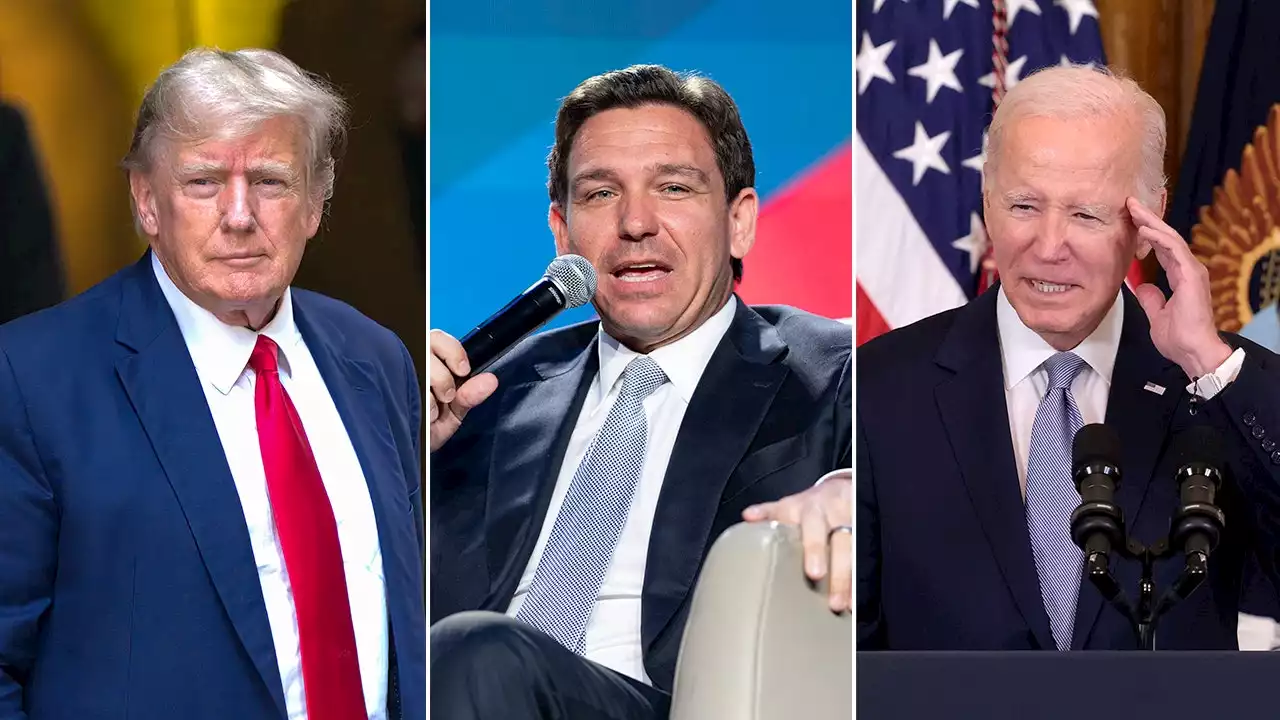 DeSantis says Trump's age, like Biden's, 'legitimate concern' in 2024 election