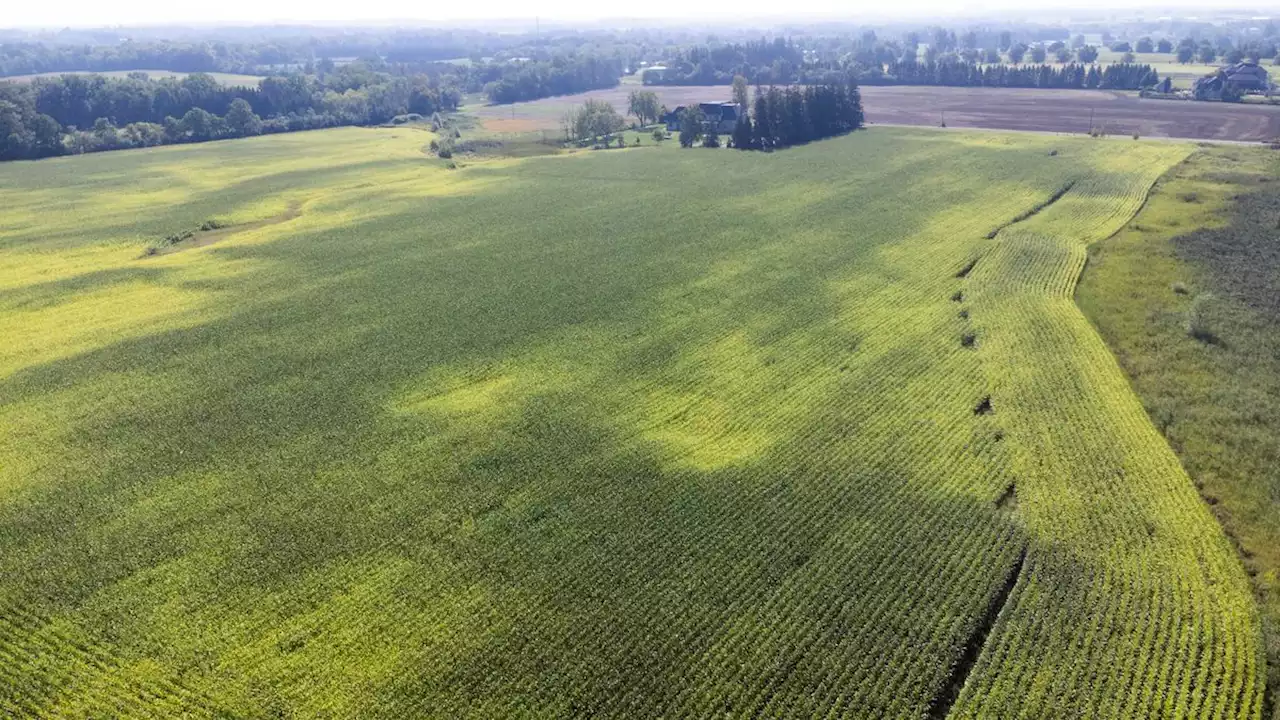 Opinion: The Greenbelt decision process points to missing cabinet guardrails