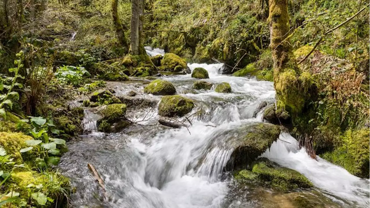 Encuentran dos personas muertas en un río de Cabrales en Asturias