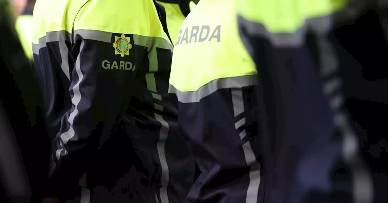 Huge majority of rank and file gardaí vote no confidence in Garda Commissioner