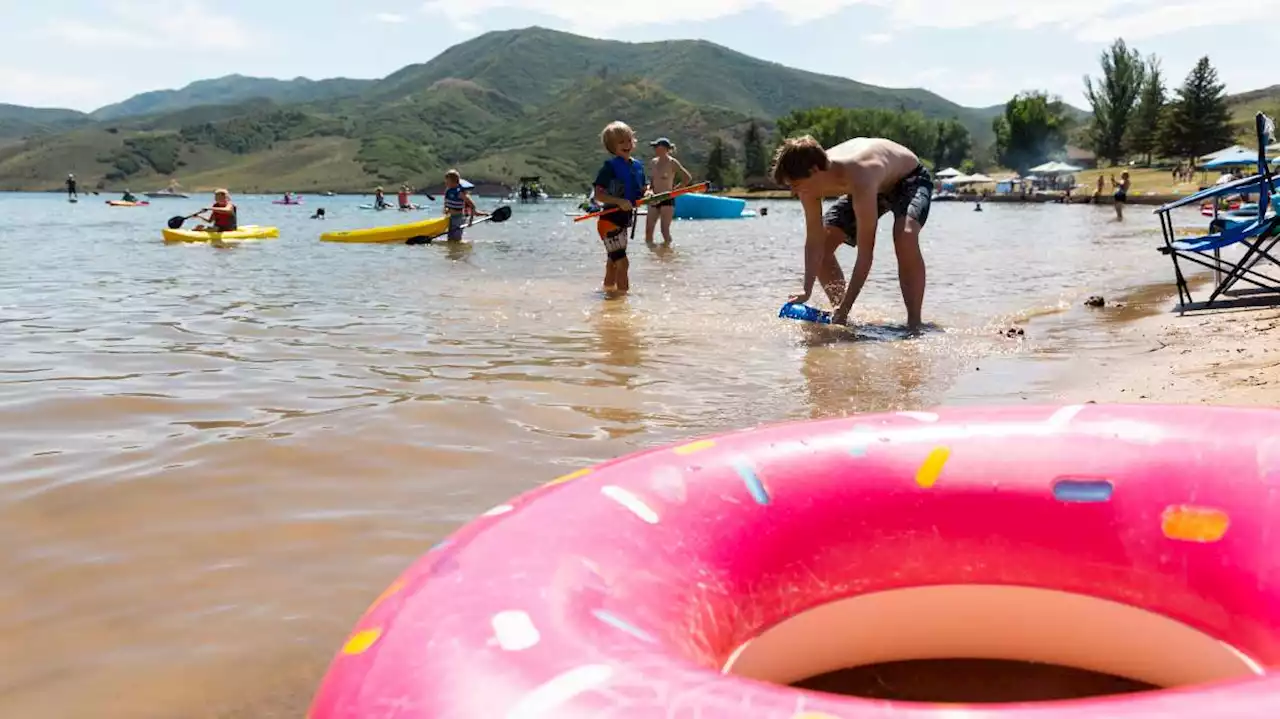 Health department urging Utahns not to swim when they have diarrhea