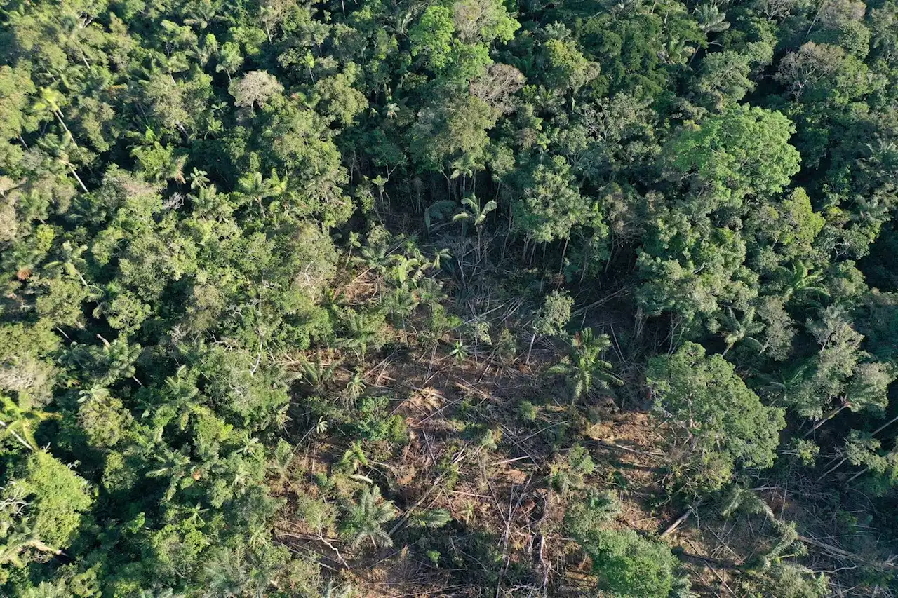 La Colombie, pays le plus dangereux pour les défenseurs de l’environnement en 2022