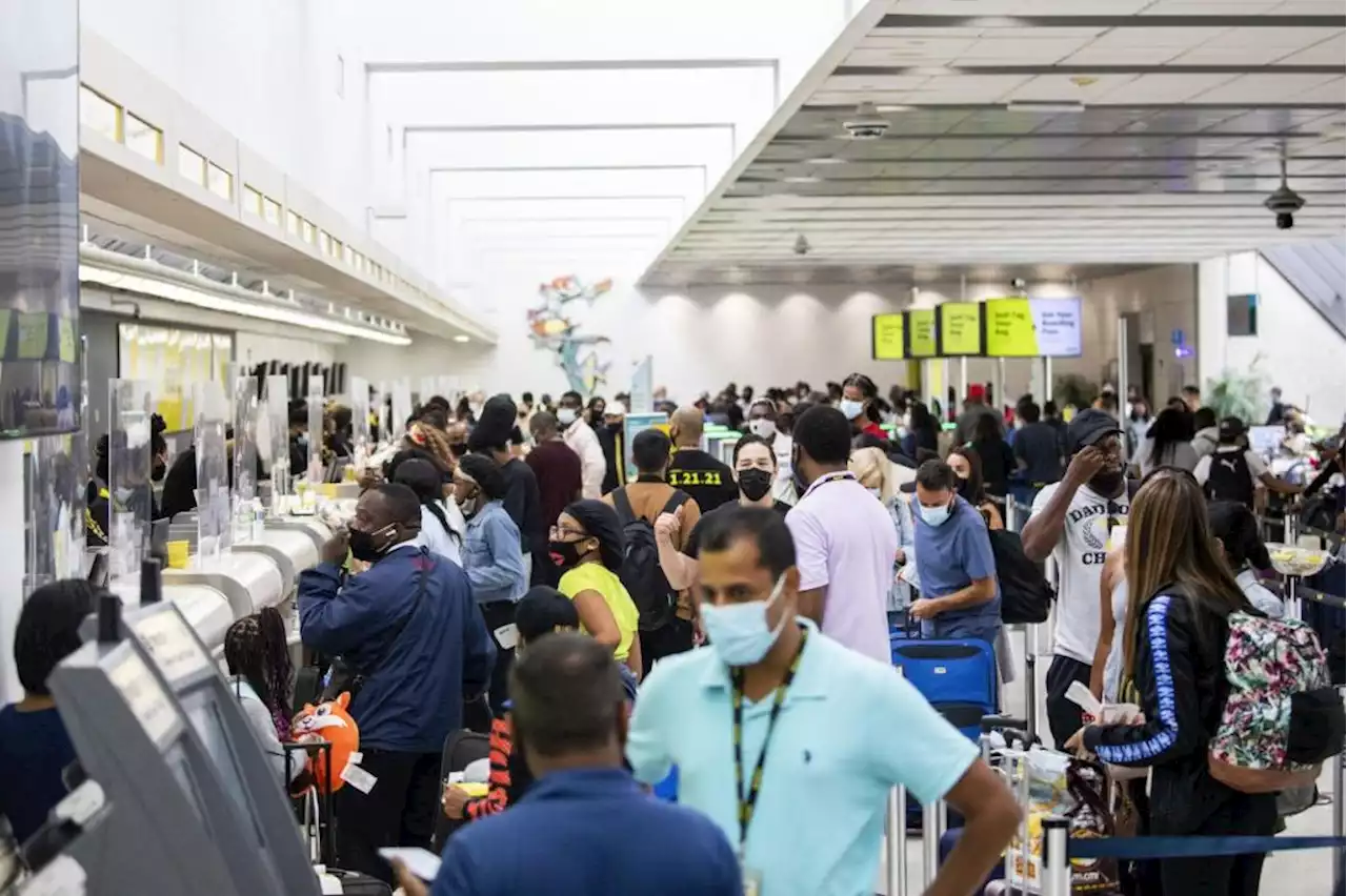 Travel agents share top strategies to avoid a bad experience